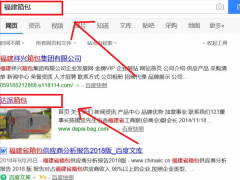 达派(中国)箱包有限公司与本公司签署网页设计项