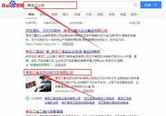 黑龙江省龙旅出租汽车有限公司与本司签约SEO优化项目