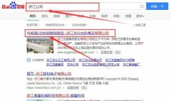 浙江龙化控股集团有限公司和本公司签约SEO推广合同