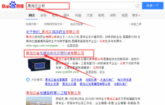 黑龙江省龙源自动化仪器仪表有限公司和本公司签约关键词优化排名合同