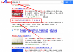 黑龙江省百邦环保工程有限公司同我公司签署百度快照排名事宜
