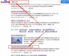 湖北省科诚招标咨询服务有限公司与海洋网络签署关键词搜索排名项目