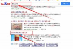 湛江市*龙食品有限公司与海洋网络签署关键词搜索排名项目