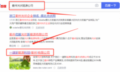 一*新能源科技（衢州）有限公司关键词推广网络营销优化公司
