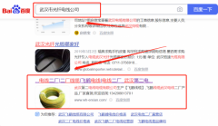 武汉第*电线电缆有限公司网站排名到首页按天扣费