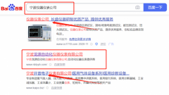 宁波龙*自动化仪器仪表有限公司网站排名案例欣赏