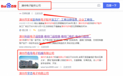 漳州市*鸟电子机械有限公司网站推广营销+精准获客