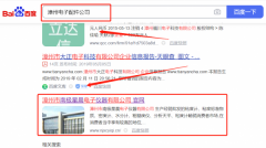漳州市南*星晨电子仪器有限公司网站推广到首页按天扣费