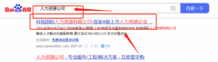 北京科*国际人力资源股份有限公司搜索引擎推广案例欣赏