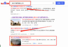 潍坊市丰*防水材料有限公司网站排名最快上词效果展示