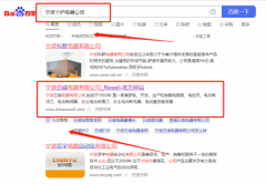 宁波*威电器有限公司网站推广排名案例欣赏