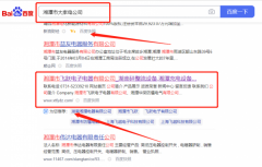 湘潭市飞*电子电器有限公司网站SEO优化品牌营销策划机构
