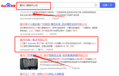 衢州市*一电子有限公司网络营销排名案例欣赏