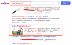 浙江中*电线电缆有限公司新站排名品牌营销策划机构