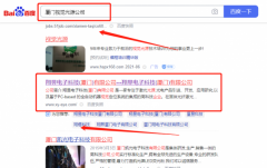 翔*电子科技（厦门）有限公司SEO优化排名参考网站