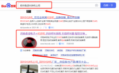 郑州市金水区*成电子产品经营部网络营销保证在首页效果