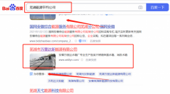 芜湖市万里*新能源有限公司新站排名保证在首页效果
