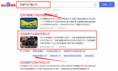 芜湖*奇汽车股份有限公司网络营销让网站轻松覆盖在搜索引擎