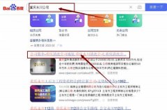 重庆蓝*清洁服务有限公司网站优化最快上词效果展示