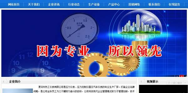 漯河市热*仪表有限公司网站优化到首页无排名不收费