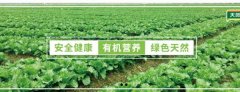 广西贺州市*丰现代农业股份有限公司网站排名到首页无排名不收费