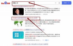 西藏凹*新能源科技有限公司网站优化最快上词效果展示