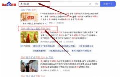 贵州川*化工股份有限公司网站优化让网站轻松覆盖在搜索引擎