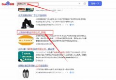 上海翰*鞋业有限公司网站排名让网站轻松覆盖在搜索引擎