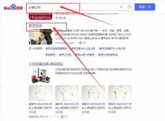 广州麦*品牌运营管理有限公司百度排名参考网站