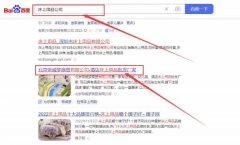 北京帝*梦商贸有限公司网络营销保证在首页效果