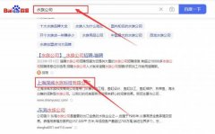 上海深*水族科技有限公司网站排名案例欣赏