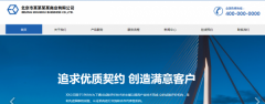全网营销推广:布局+运营+技巧的实战技能