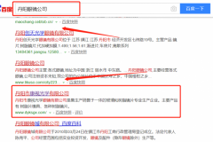 丹阳市康视光学眼镜有限公司和我公司签订SEO优化项目