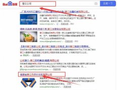 福建省晋江市奇*织造有限公司与我司做快速排名项目