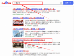 十堰市*昕保洁有限公司跟本公司签订万词霸屏合同