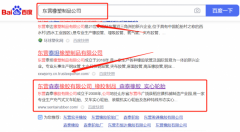 山东东营*泰橡胶有限公司SEO优化保证在首页效果