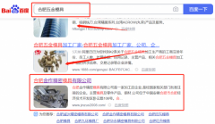 合肥金*精密模具有限公司SEO优化排名效果展示