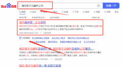 潍坊市汇*电子有限公司SEO优化最快上词效果展示