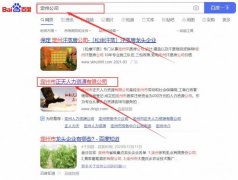 定州市正*人力资源有限公司关键词推广最快上词效果展示