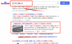 广西南宁市*星电子衡器有限责任公司网络营销到首页按天扣费