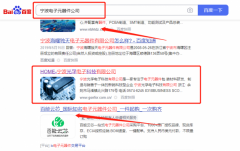 宁波*孚电子科技有限公司万词霸屏快上词效果展示